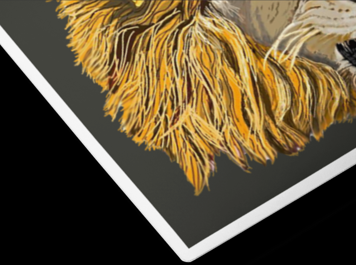 Metal Print - The Lion King in a Crown - Dark Gray Background